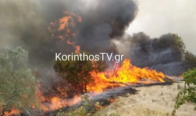 Φωτιά στο Καλέντζι Κορινθίας – Επιχειρούν ισχυρές μονάδες της Πυροσβεστικής