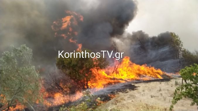 Φωτιά στο Καλέντζι Κορινθίας – Επιχειρούν ισχυρές μονάδες της Πυροσβεστικής