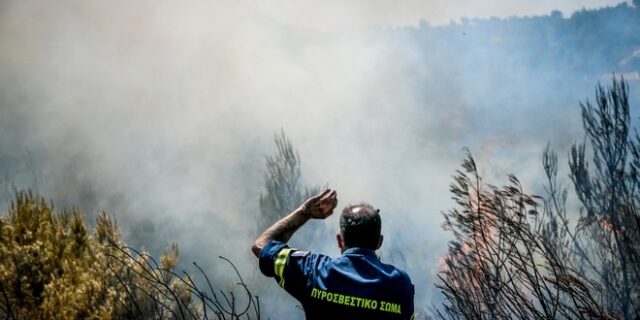 Φωτιές σε Χαλκιδική, Εύβοια και Επίδαυρο