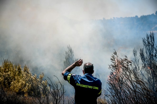 Φωτιά στην Αργολίδα: Υπό έλεγχο η πυρκαγιά στο Αραχναίο