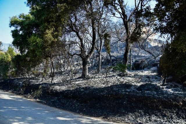 Φωτιά στην Πάτρα: Βελτιωμένη η εικόνα στη Δροσιά – Οριοθετημένο το μέτωπο στην Ελεκίστρα