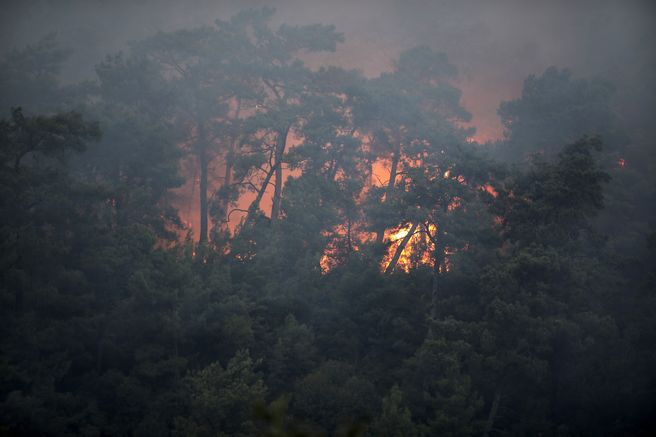 Τουρκία: Δασική πυρκαγιά απειλεί κατοικημένες περιοχές κοντά σε τουριστική περιοχή