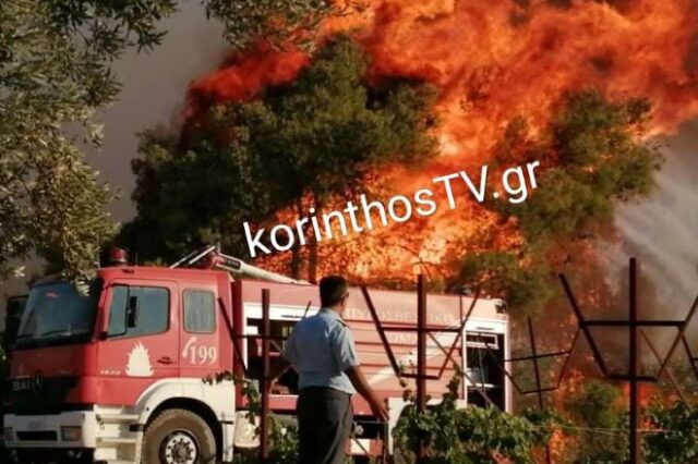 Φωτιά στο Καλέντζι Κορινθίας: Δύσκολη νύχτα – Ανεξέλεγκτο το μέτωπο