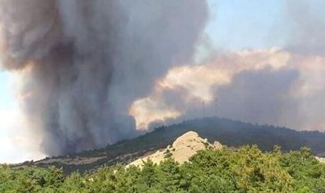 Αλεξανδρούπολη: Φωτιά στη Λευκίμμη – Εκκενώθηκε οικισμός