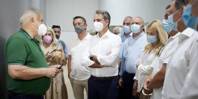 Ο Ελευθέριος Βενιζέλος είχε πει στον Κωνσταντίνο Μητσοτάκη να γίνει γεωπόνος