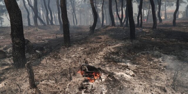 Δύο νέες συλλήψεις για εμπρησμό – Συνολικά 22 σε όλη την χώρα