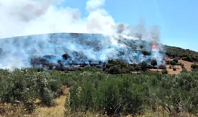 Φωτιά στα Στύρα Ευβοίας: Εκκενώθηκαν δύο οικισμοί – “Εφιαλτική η κατάσταση”, λέει ο Δήμαρχος