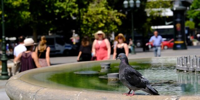 Καύσωνας: Πού και πότε θα χτυπήσει “κόκκινο” ο υδράργυρος