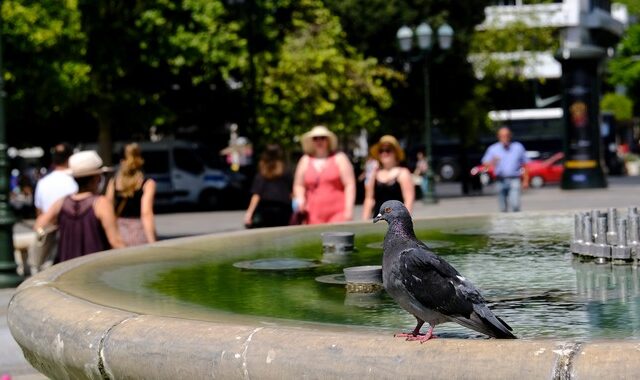 Καύσωνας: Πού και πότε θα χτυπήσει “κόκκινο” ο υδράργυρος