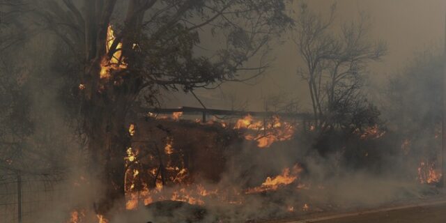 Αχαϊα: Συγκλονιστικές εικόνες από τη μεγάλη φωτιά