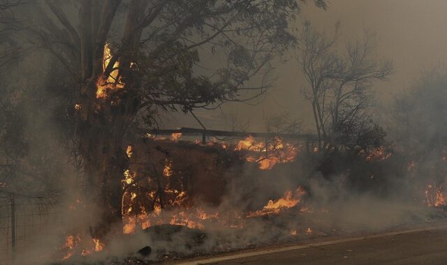 Αχαϊα: Συγκλονιστικές εικόνες από τη μεγάλη φωτιά