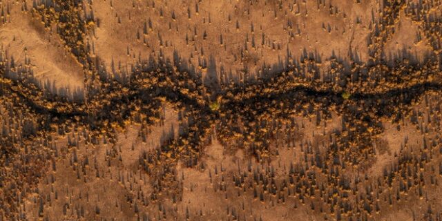 Είναι αυτό το καλοκαίρι της κλιματικής κρίσης;