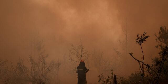 Φωτιά στην Εύβοια: Μάχη κατοίκων και πυροσβεστών για να σωθούν οι Καματριάδες – Εντολή εκκένωσης της Αβγαριάς