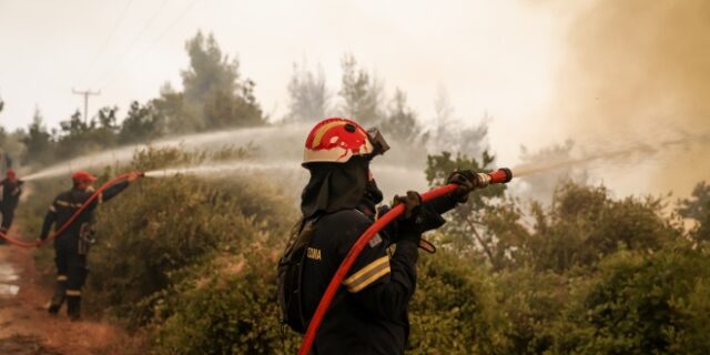 Χαλκιδική: Υπό μερικό έλεγχο η φωτιά στη Μόλα Καλύβα