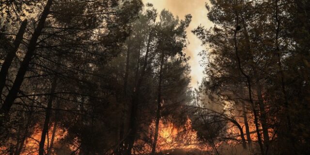 Φωτιές στην Αττική: Στη φυλακή τρεις κατηγορούμενοι για εμπρησμό