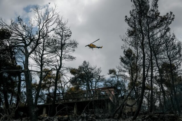 Φωτιά στα Βίλια: Καλύτερη εικόνα στο Καντήλι – Υπολείμματα φωτοβολίδας βρέθηκαν στο Δασκαλειό