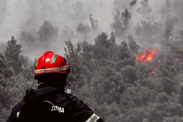 Φωτιά στα Βίλια: Μάχη με τις αναζωπυρώσεις – Ζημιές σε σπίτια