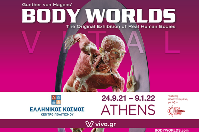 Η αυθεντική Έκθεση Body Worlds για πρώτη φορά στην Ελλάδα