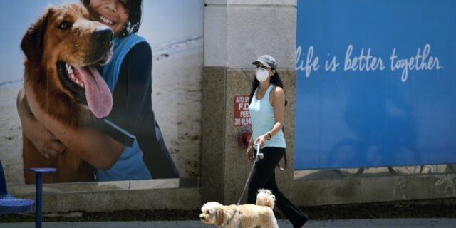 Παγκόσμια Ημέρα Σκύλου: Οι πιο ξεχωριστές αναρτήσεις για τον καλύτερο φίλο του ανθρώπου