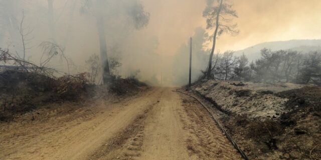 Φωτιές στην Ελλάδα: Πώς θα κινηθούν οι άνεμοι, ποιες περιοχές κινδυνεύουν περισσότερο