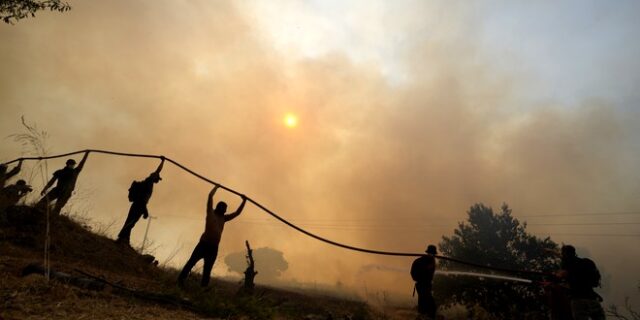 Φωτιές στην Ελλάδα: Πώς μπορείς να βοηθήσεις τους πυρόπληκτους