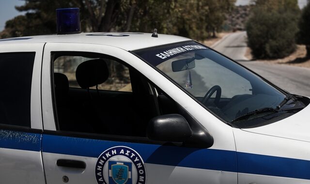 Θεσσαλονίκη: Στον ανακριτή ο 25χρονος που σκότωσε σκύλο