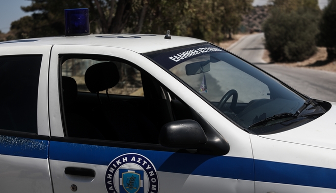 Θεσσαλονίκη: Στον ανακριτή ο 25χρονος που σκότωσε σκύλο