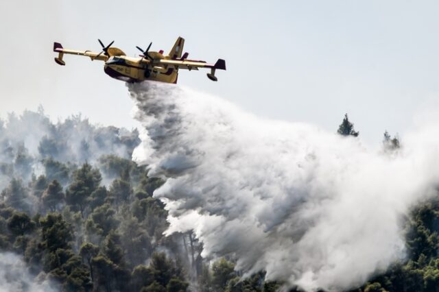 Φωτιά στα Βίλια: Ενισχύθηκαν οι δυνάμεις πυρόσβεσης – Στάχτη χιλιάδες στρέμματα πυκνού πευκοδάσους