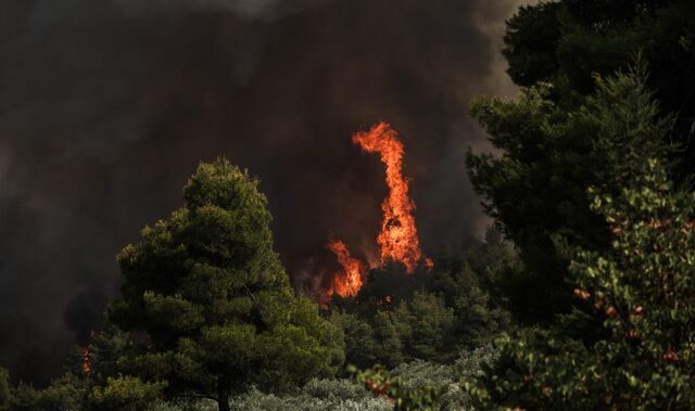 Κλιματική απειλή και πολιτική κουτοπονηριά