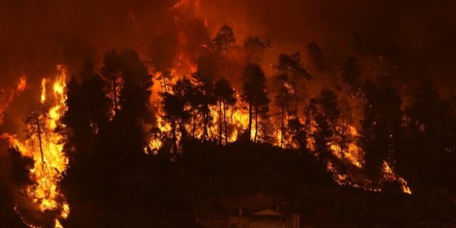 Ακόμη μία νύχτα μάχης με τις φλόγες – Πάνω από 650.000 στρέμματα έγιναν στάχτη