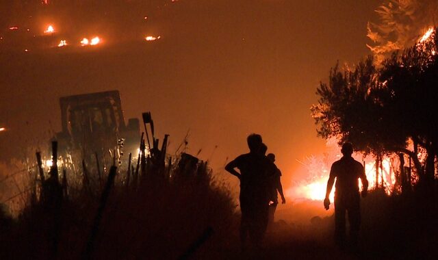 Φωτιά στην Εύβοια: Σε κατάσταση έκτακτης ανάγκης η πληγείσα περιοχή – Μαίνεται η φωτιά στην Ηλεία
