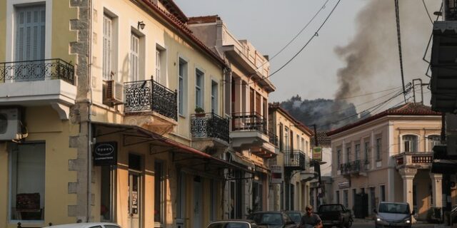 Σπανός για φωτιά στην Εύβοια: Δεν σβήνει μόνο με χωματουργικά και σκαπτικά μηχανήματα