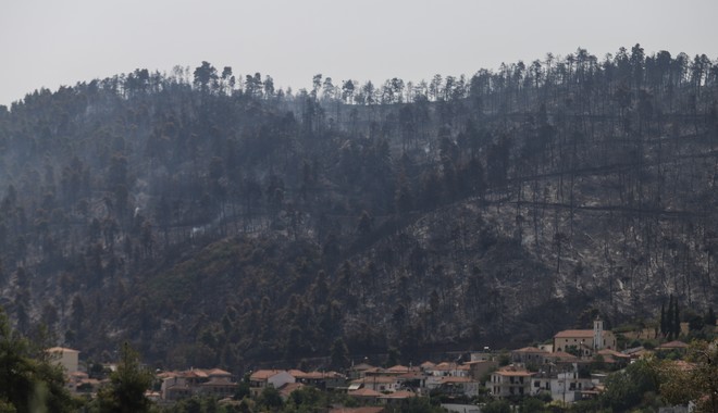 Φωτιές: Μέσα σε 30 μέρες η κήρυξη των καμένων εκτάσεων ως αναδασωτέων