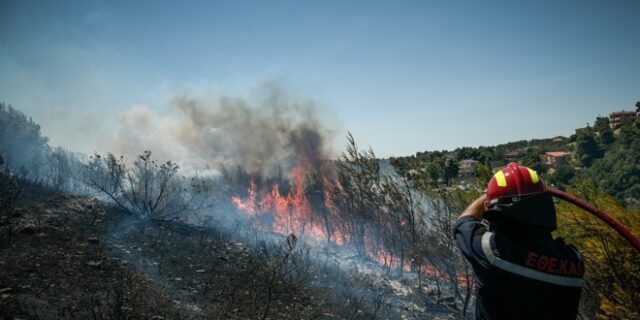Επικίνδυνη φωτιά στη Λίμνη της Ευβοίας – Εκκενώνονται οικισμοί