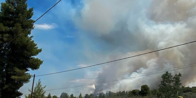 Φθιώτιδα: Σε ύφεση η φωτιά στη Στυλίδα