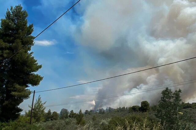 Φθιώτιδα: Σε ύφεση η φωτιά στη Στυλίδα