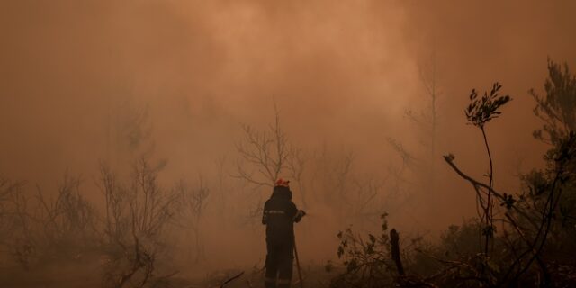 Μάνη: Υπό μερικό έλεγχο η φωτιά στην περιοχή Δρυάλια