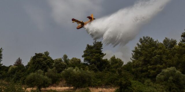 Φωτιά στην Εύβοια: Βελτιωμένη η εικόνα – Μάχη με διάσπαρτες εστίες