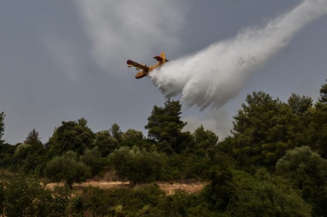 Φωτιά στην Εύβοια: Βελτιωμένη η εικόνα – Μάχη με διάσπαρτες εστίες