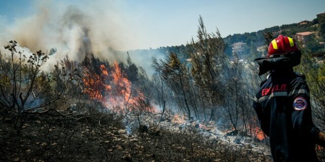 Ζάκυνθος: Ελεύθερος ο άνδρας που προσήχθη για την πυρκαγιά στο Αργάσι