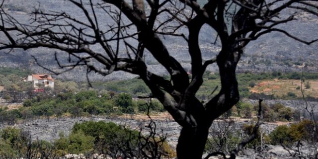 ΥΠΑΑΤ: Στήριξη στους πυρόπληκτους αγρότες – Αναλυτικά η διαδικασία