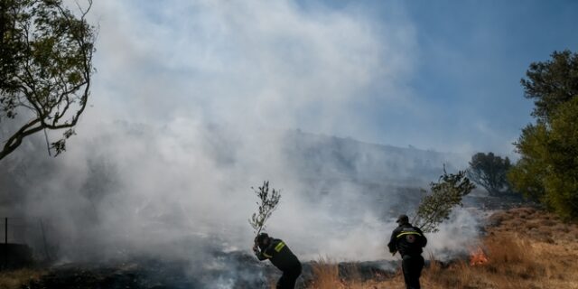 Φωτιά στα Βίλια: Συνεχίζεται η μάχη με τις φλόγες ανάμεσα σε Παλαιοχώρι και Θέα