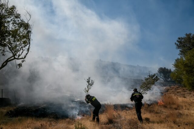 Φωτιά στα Βίλια: Συνεχίζεται η μάχη με τις φλόγες ανάμεσα σε Παλαιοχώρι και Θέα
