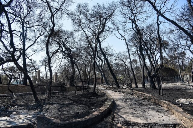 Αχαϊα: Μαύρισαν τα πάντα από τη μεγάλη φωτιά – Αποκαρδιωτικές εικόνες