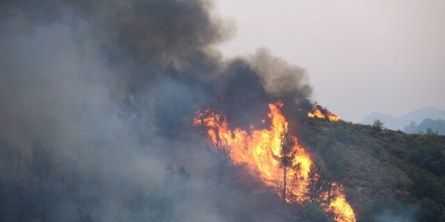 Φωτιά στην Αττική: Στις Αφίδνες το κυρίως μέτωπο – Καταστροφή σε Εύβοια και Ηλεία