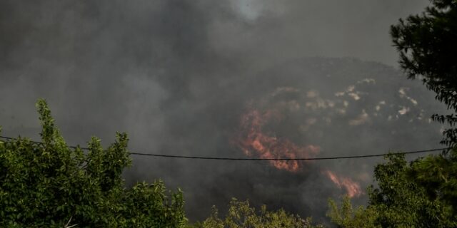 Λάρισα: Φωτιά στο Σαραντάπορο Ελασσόνας