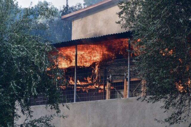 Ακόμα καίγονται στην Αρκαδία: Απειλείται το Νεοχώρι