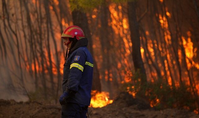 Φωτιά στην Αταλάντη: Ομολόγησε ο 14χρονος για τις φωτιές στο Θεολόγο