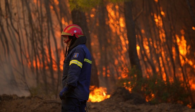 Φωτιά στην Αταλάντη: Ομολόγησε ο 14χρονος για τις φωτιές στο Θεολόγο