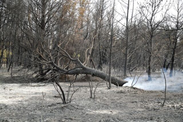 ΣΥΡΙΖΑ: Τρία άμεσα ερωτήματα για τις πυρκαγιές